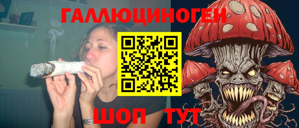 Галлюциногенные грибы Psilocybine cubensis Ейск