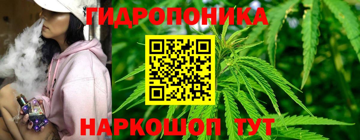 Бошки марихуана THC 21% Ейск